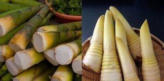 cách làm thịt bò xào măng chua 1