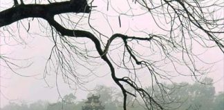 10 điểm du lịch lí tưởng cho gia đình 