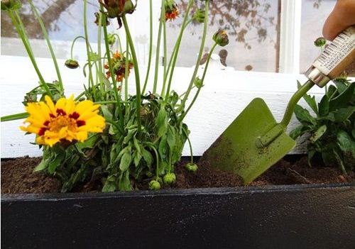 Cách làm chậu trồng hoa treo cửa sổ từ gỗ đơn giản 7