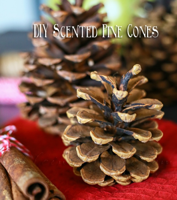6 cách mang mùi hương của Giáng sinh vào nhà - 6