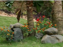 Hướng dẫn làm đẹp vườn bằng đá tự nhiên - 1