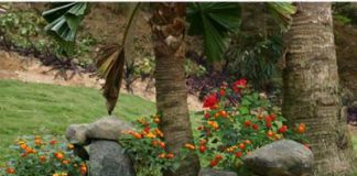 Hướng dẫn làm đẹp vườn bằng đá tự nhiên - 1