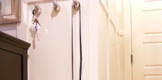 Thích thú cây cảnh 