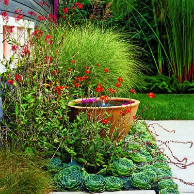 Một vài cách làm vườn nhà bạn thêm nổi bật - 3