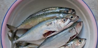 Cá-nục-nướng-lá-chuối-thơm-lừng-ăn-là-thấy-mê-ngay-1