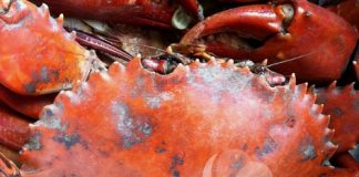 Ngất ngây với chả cua hấp - 1