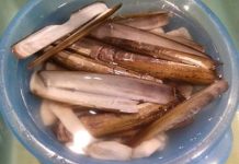 Rau muống xào ốc móng tay giòn ngon lạ miệng cho bữa trưa Rau-muống-xào-ốc-móng-tay-giòn-ngon-lạ-miệng-cho-bữa-trưa-1