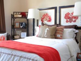 Dọn nhà đón thu cùng sắc đỏ san hô - 1