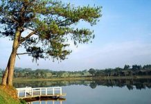 Các hồ nên ghé thăm khi tới Đà Lạt Hồ Xuân Hương