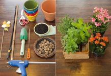 Tự làm chậu trồng rau thơm trong bếp cực độc đón Tết - 1