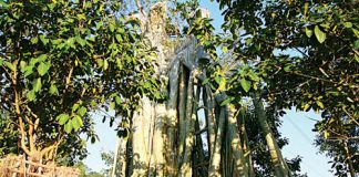 Cẩm nang du lịch bụi Tuyên Quang  - 1