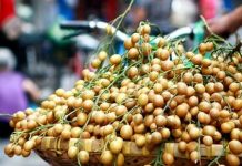 Làm sao để nấu món súp ngon? Cách ngâm quất hồng bì