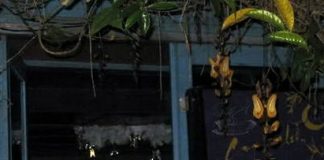 Điểm hẹn cuối tuần ở Đà Lạt - 1