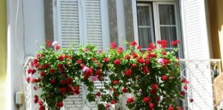 Kiêng kỵ khi thiết kế và bài trí ban công - Archi