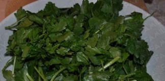 Hướng dẫn muối dưa bắp cải thật ngon - 1