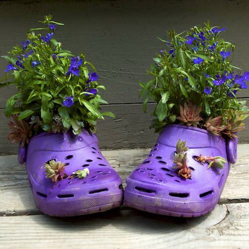 Cách tận dụng giày cũ để... trồng hoa - 7