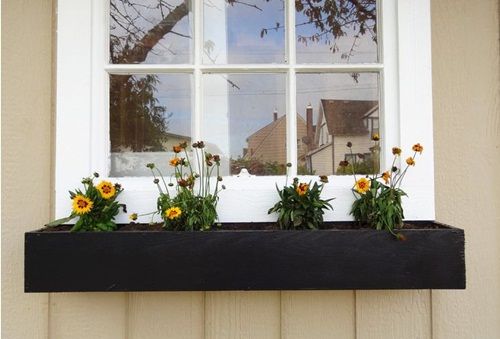 Cách làm chậu trồng hoa treo cửa sổ từ gỗ đơn giản