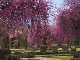 10 địa điểm tuyệt đẹp có nguy cơ biến mất