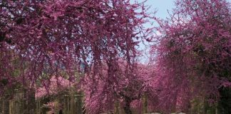 10 địa điểm tuyệt đẹp có nguy cơ biến mất