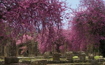 10 địa điểm tuyệt đẹp có nguy cơ biến mất