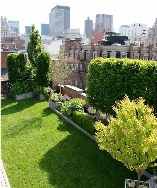 Tạo vườn xanh trên sân thượng - Archi