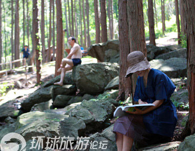 Vào khu rừng 'tắm tiên' miễn phí tại Hàn Quốc