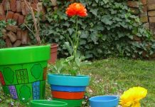 Hướng dẫn trang trí khu vườn 'bảy sắc cầu vồng' - 1