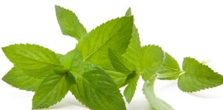 Loại bỏ chứng khó chịu ở dạ dày - 1