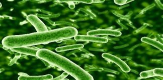 Những điều cần biết về bệnh viêm âm đạo do vi khuẩn - 1