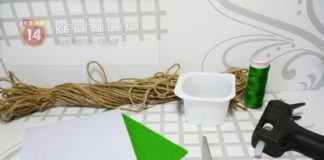 Chậu hoa vải xinh xắn cho căn phòng bừng sáng 1