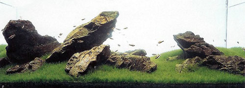 Cây thuỷ sinh đã được đổi sang chỉ với một loại cỏ tóc, toàn bộ săp ' xếpbố cục của đá manten-seki vẩn không thay đổi. Bố cụ iwagumi tạo được một ấn tượng rất mạnh mẽ, và chuyên chở được ý nghĩa hùng dũng qua cách sắp xếp các tảng đá.