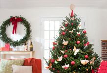 'Tô son điểm phấn' cây thông Noel rực rỡ - 1