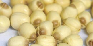 5 loại thảo dược giúp tăng trí nhớ mà bạn nên biết-1