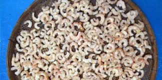 Cách làm tôm khô  - 1