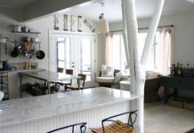 Trồng hẳn cây to giữa nhà để chơi trội - 1