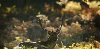 Khám phá 10 điểm du lịch tuyệt đẹp mùa thu - 1