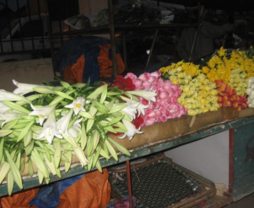 Quảng Bá - Phiên chợ của các loài hoa
