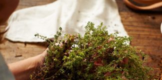 meo-trong-rau-thom-tuoi-tot-trong-nha-lamsao.com-3