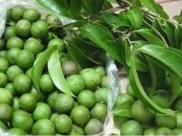 cách nấu canh sấu thịt băm