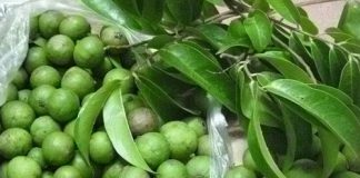 cách nấu canh sấu thịt băm