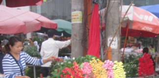 Quảng Bá - Phiên chợ của các loài hoa