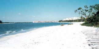 Thiên đường nắng ấm Marco - 1