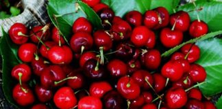 Chocolate, cafe giúp giữ gìn nhan sắc?, Làm đẹp, lam dep, duong da, da dep, thuc pham cho da, thuc pham lam dep da,cham soc da,