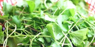 Cách nấu canh rau má ngon mà lại mát 1