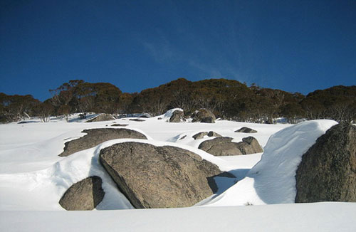Dãy núi Alps của Australia có nhiều tuyết rơi hơn cả Thụy Sĩ