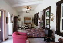 Bí quyết trang trí nhà ống - 1