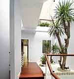 Bí quyết chọn cây xanh cho giếng trời - 1