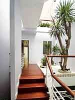 Bí quyết chọn cây xanh cho giếng trời - 1