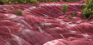 Vùng đất đỏ lạ kỳ ở Canada