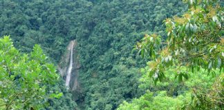 Thiên nhiên kỳ thú ở Costa Rica  - 1